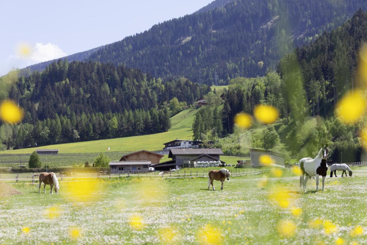 Appartamento Roslerhof Inzing Esterno foto